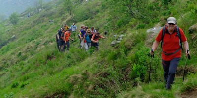 ALPE FRIGEROLA (1791 m)
Gita in collaborazione con il Gruppo Giovanile  
 - 28-05-2017 ESCURSIONISMO ESTIVO 