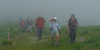 ALPE FRIGEROLA (1791 m)
Gita in collaborazione con il Gruppo Giovanile  
 - 28-05-2017 ESCURSIONISMO ESTIVO 