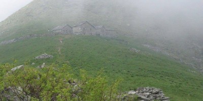 ALPE FRIGEROLA (1791 m)
Gita in collaborazione con il Gruppo Giovanile  
 - 28-05-2017 ESCURSIONISMO ESTIVO 