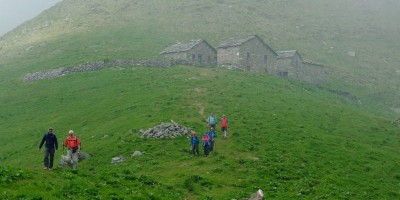 ALPE FRIGEROLA (1791 m)
Gita in collaborazione con il Gruppo Giovanile  
 - 28-05-2017 ESCURSIONISMO ESTIVO 