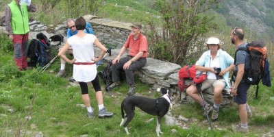 ALPE FRIGEROLA (1791 m)
Gita in collaborazione con il Gruppo Giovanile  
 - 28-05-2017 ESCURSIONISMO ESTIVO 