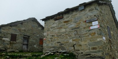 ALPE FRIGEROLA (1791 m)
Gita in collaborazione con il Gruppo Giovanile  
 - 28-05-2017 ESCURSIONISMO ESTIVO 