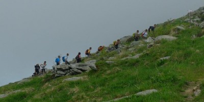 ALPE FRIGEROLA (1791 m)
Gita in collaborazione con il Gruppo Giovanile  
 - 28-05-2017 ESCURSIONISMO ESTIVO 