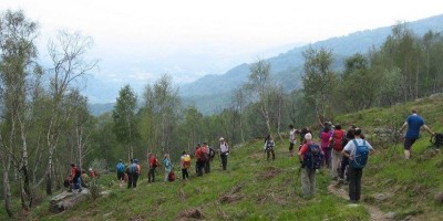 ALPE FRIGEROLA (1791 m)
Gita in collaborazione con il Gruppo Giovanile  
 - 28-05-2017 ESCURSIONISMO ESTIVO 