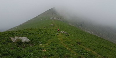 ALPE FRIGEROLA (1791 m)
Gita in collaborazione con il Gruppo Giovanile  
 - 28-05-2017 ESCURSIONISMO ESTIVO 