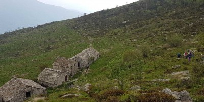 ALPE FRIGEROLA (1791 m)
Gita in collaborazione con il Gruppo Giovanile  
 - 28-05-2017 ESCURSIONISMO ESTIVO 