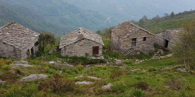 ALPE FRIGEROLA (1791 m)
Gita in collaborazione con il Gruppo Giovanile  
 - 28-05-2017 ESCURSIONISMO ESTIVO 