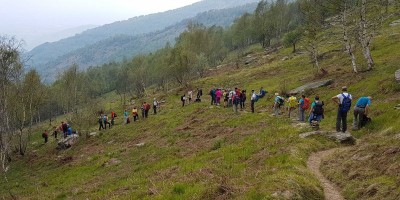 ALPE FRIGEROLA (1791 m)
Gita in collaborazione con il Gruppo Giovanile  
 - 28-05-2017 ESCURSIONISMO ESTIVO 